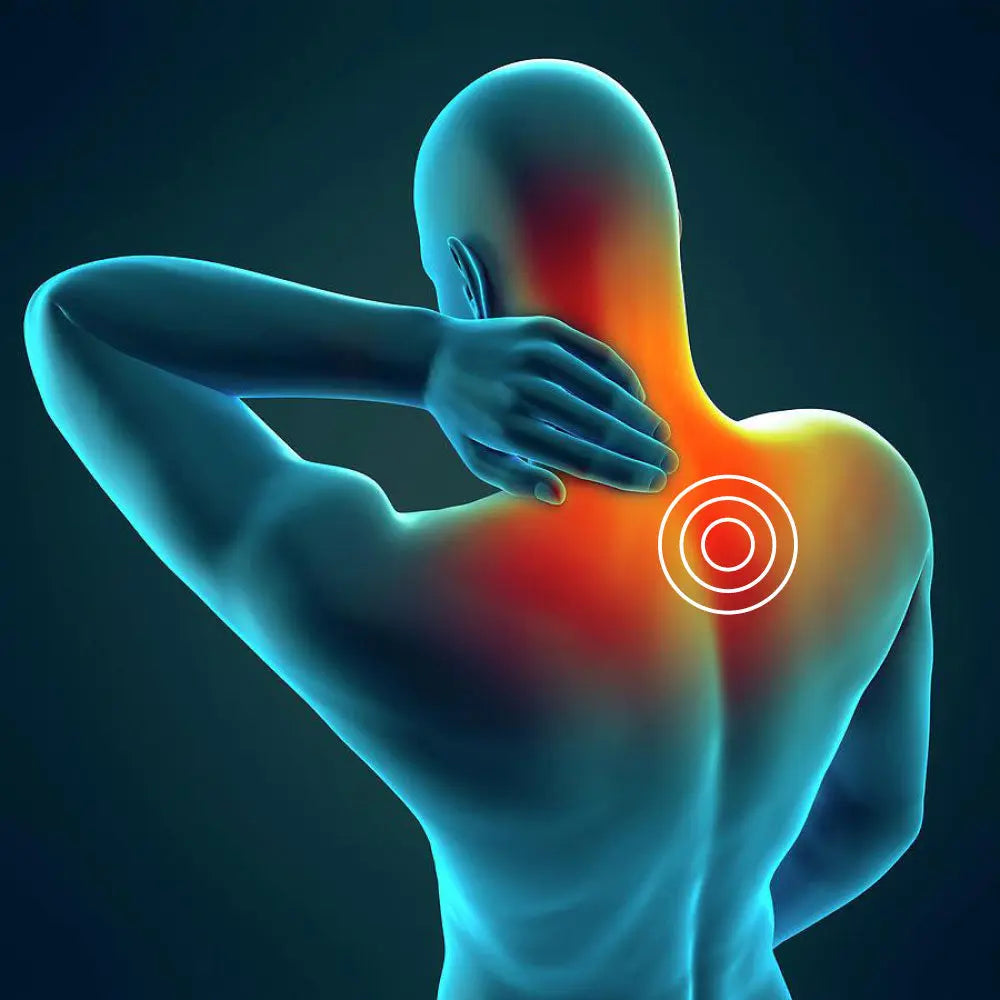 Backgym Nano Massagespistole - Kann den Schmerz des Körpers lindern und hilft bei der Regeneration SeronaShop